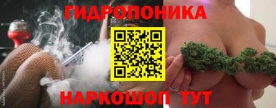 a pvp Шебекино