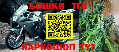 стафф Аргун