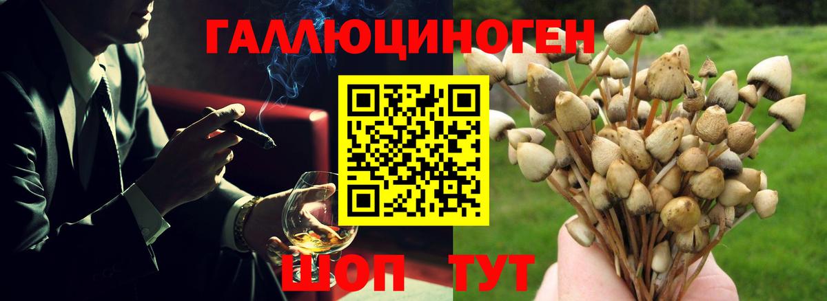 Галлюциногенные грибы MAGIC MUSHROOMS  где купить наркотик  Асбест  Вход с VPN  Псилоцибиновые грибы ЛСД 
